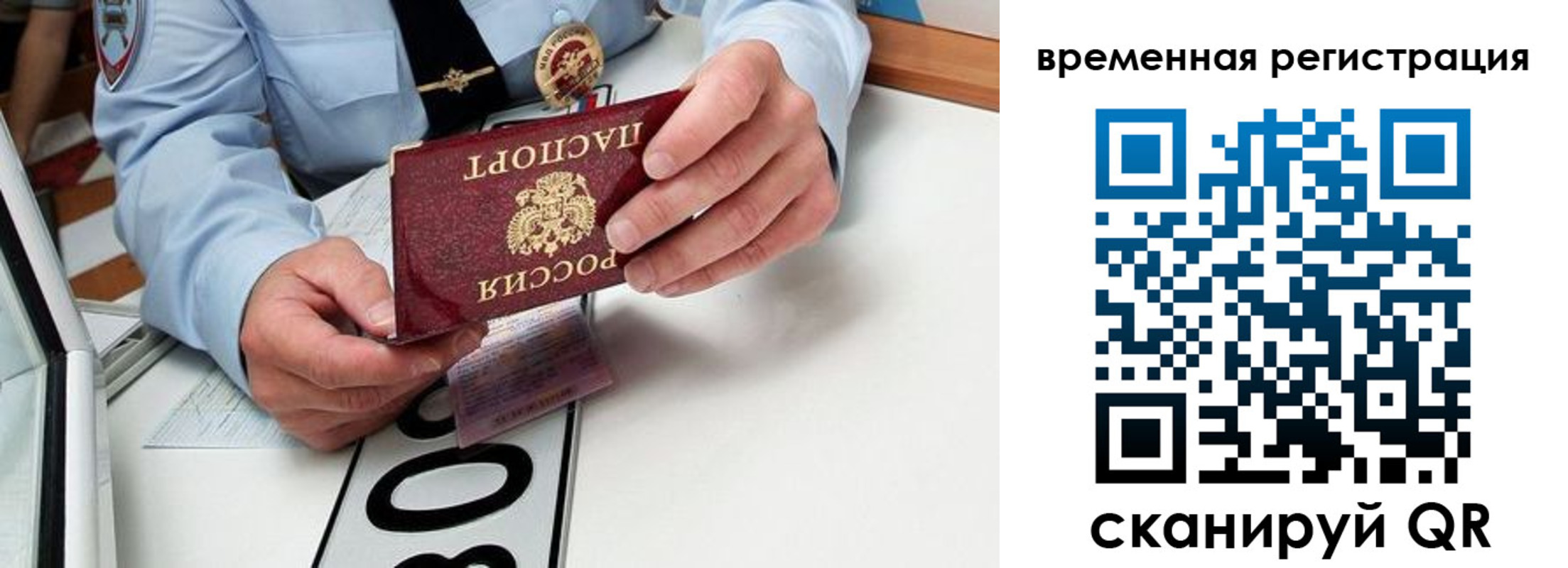 прописка гарантия в Губкине